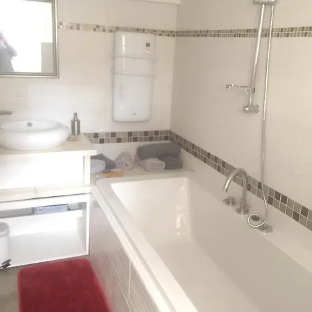 Luxueux A Avec Piscine Partagee 55 M² * Launaguet